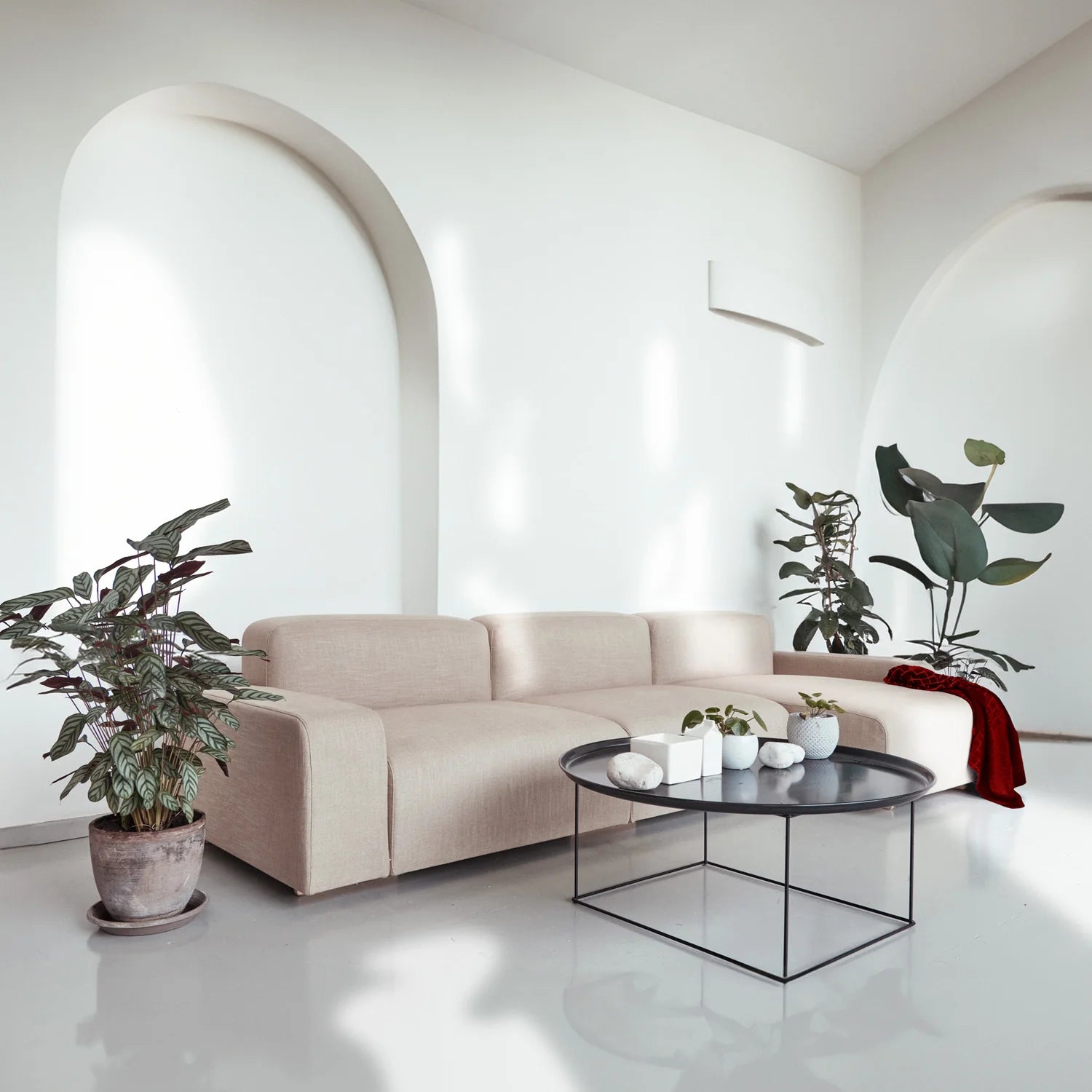 A modern living room and a white sustainable sofa, with plants and a low table.
