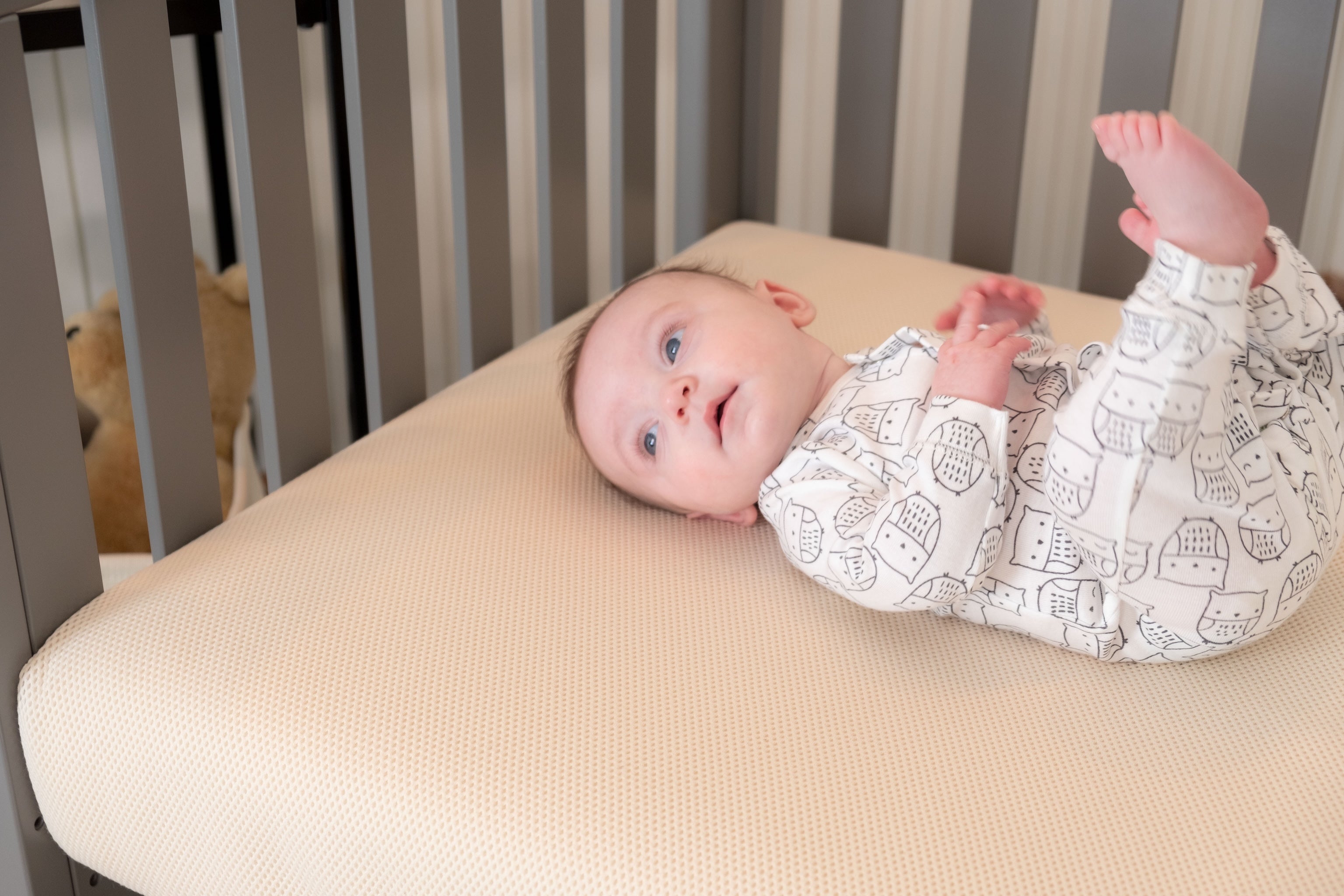 Organic Crib Mattress by Naturepedic