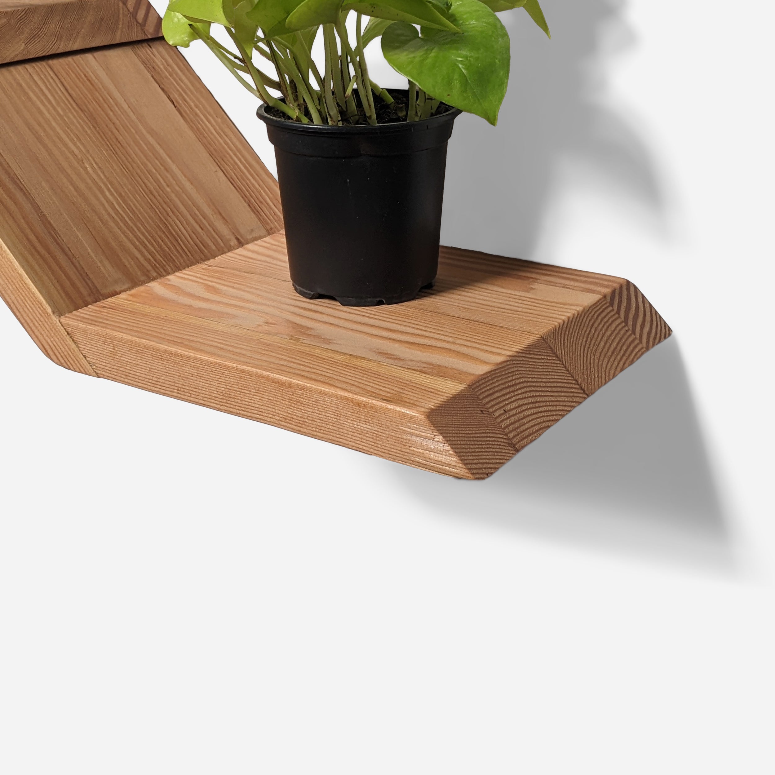 A close-up look of the first layer of the wall-mounted Lean Shelf by Formr in wood finish, with a potted plant.