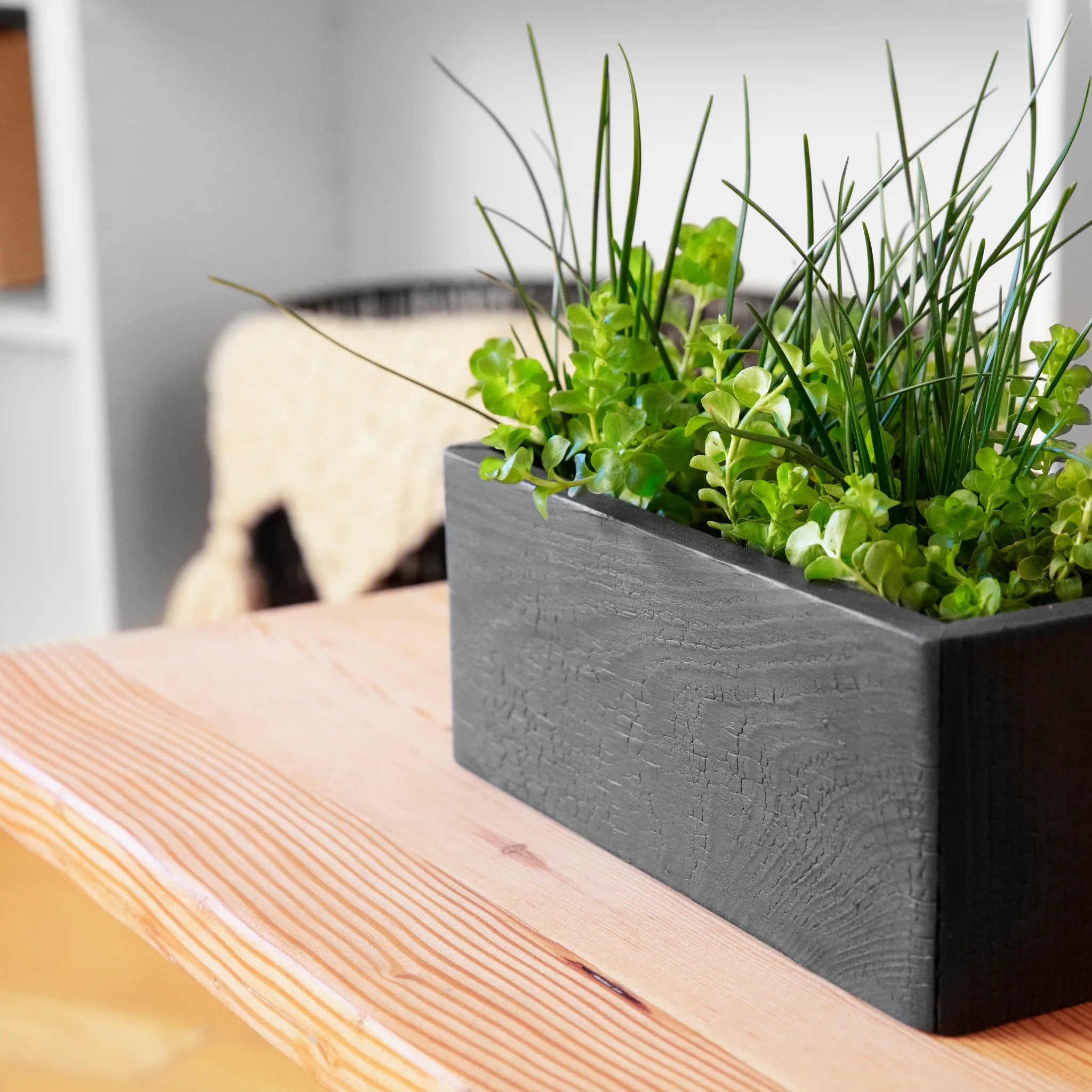 A reclaimed wood Side Table with Planter by Formr, close-up.