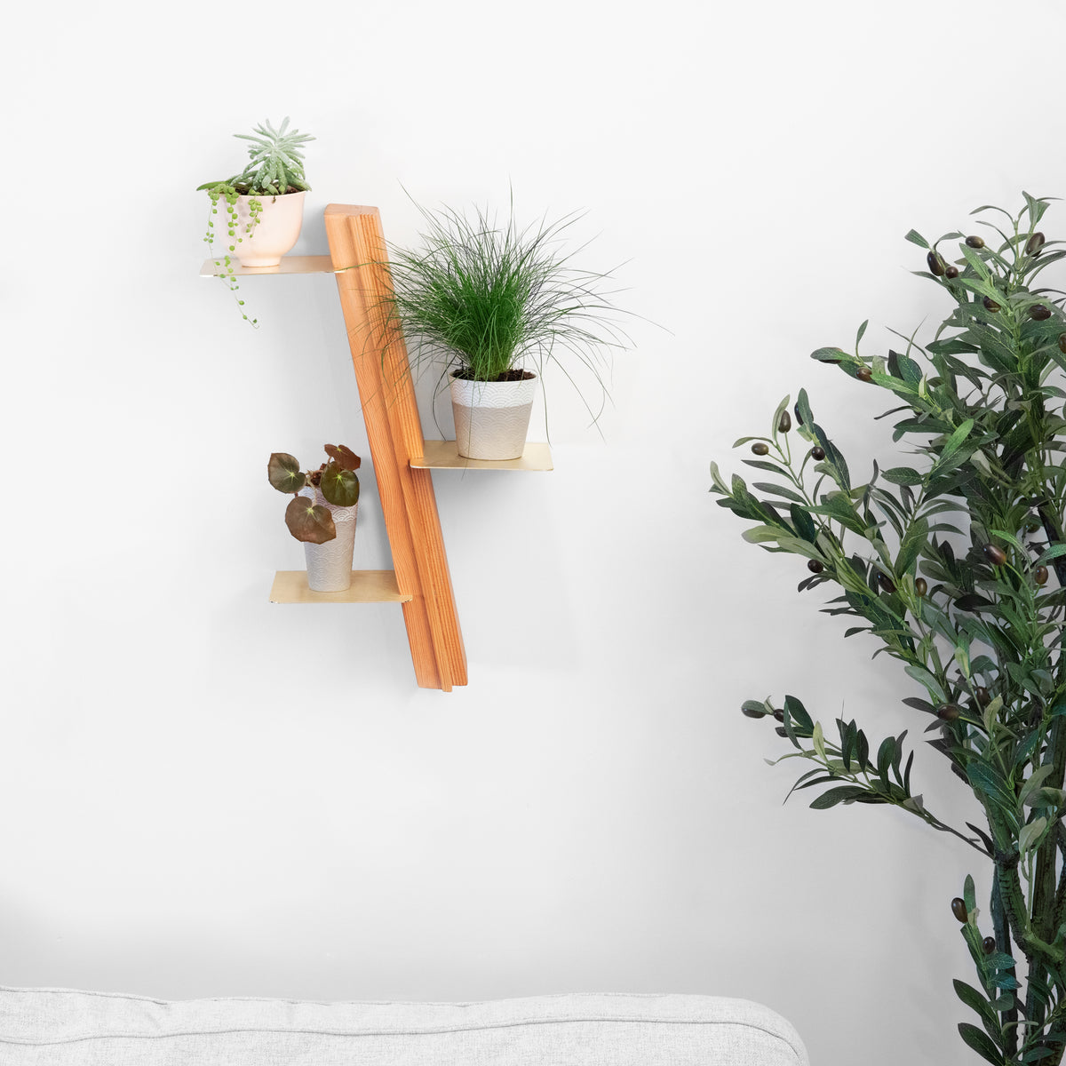 A portrait of a handcrafted Wallflower shelf made of recycled wood by Formr, with three young plants.